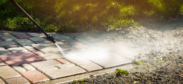 Animal Enclosure Cleaning in Moorpark, CA